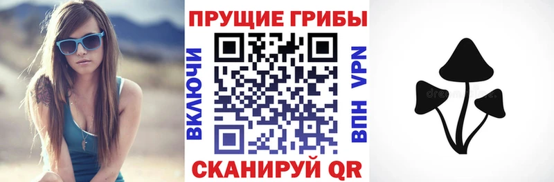 цены наркотик  Хилок  Галлюциногенные грибы прущие грибы 